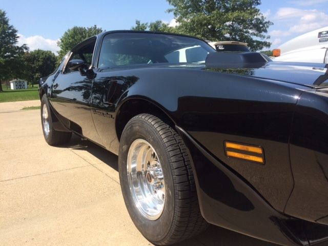 1981 Pontiac Trans Am - photo 4