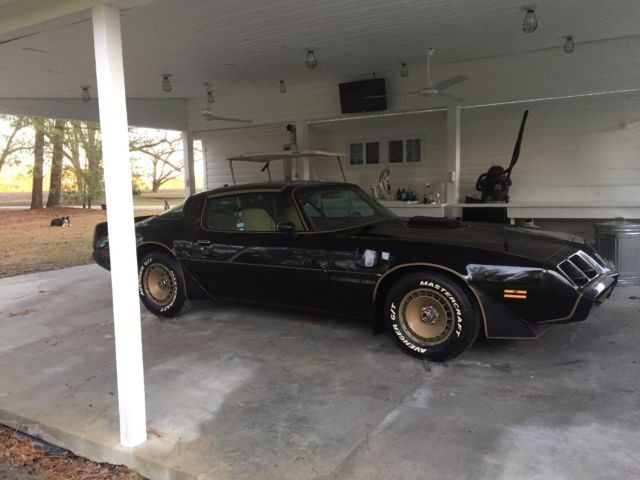 1981 Pontiac Trans am SE Y84 1981 Pontiac Trans Am SE