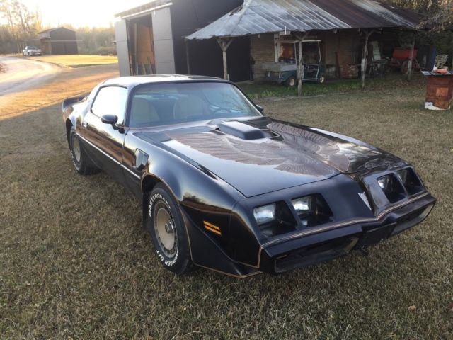 1981 Pontiac Trans Am SE - photo 12