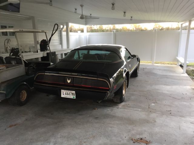 1981 Pontiac Trans Am SE - photo 3