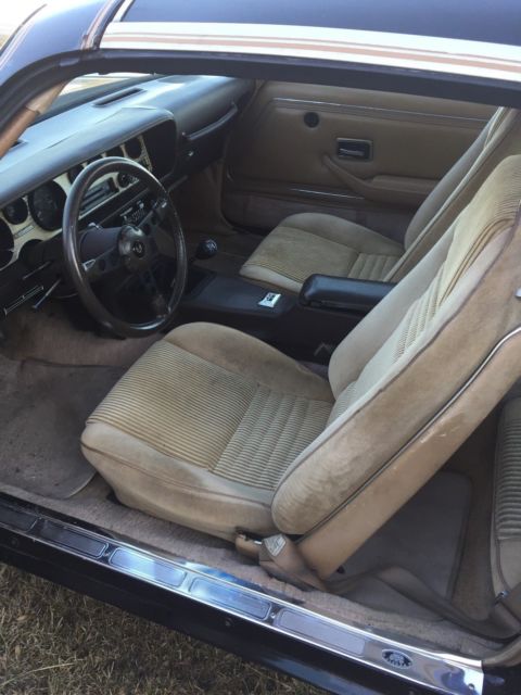 1981 Pontiac Trans Am SE - photo 6