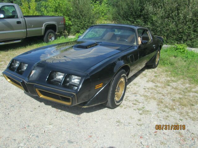 1981 PONTIAC TRANS AM SPECIAL EDITION 18K ORIGINAL FAMILY OWNED GARAGED FIND 1981 Pontiac Trans Am