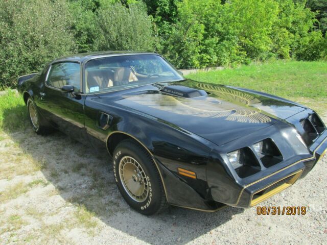 1981 Pontiac Trans Am - photo 2