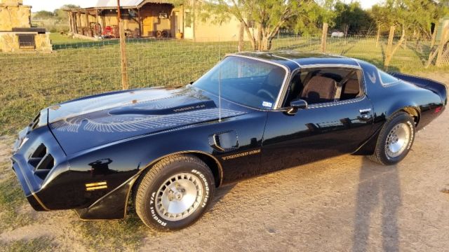 1981 Pontiac Trans Am Turbo Trans Am