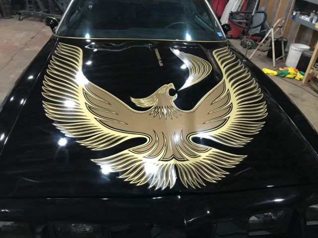 1981 Pontiac Trans Am Turbo Trans Am - photo 8