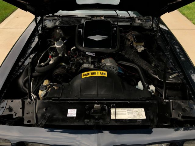 1981 Pontiac Trans Am - photo 10