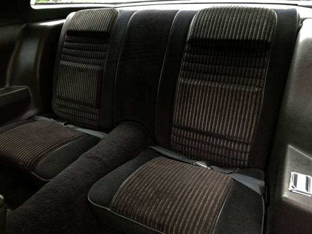 1981 Pontiac Trans Am - photo 8