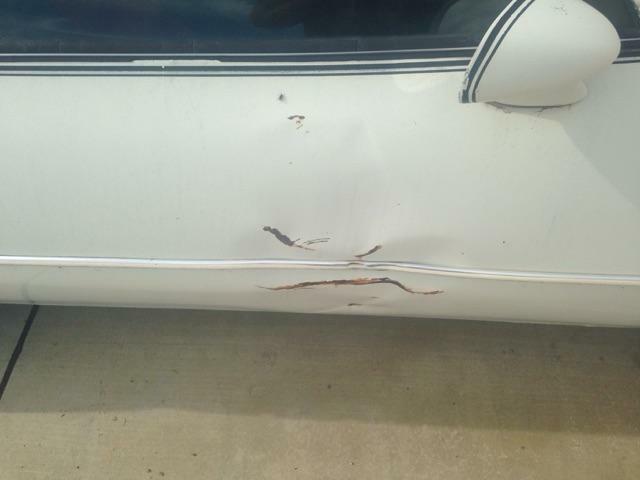 1981 Pontiac Trans Am - photo 12