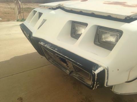 1981 Pontiac Trans Am - photo 8