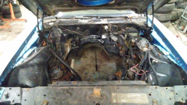 1981 Pontiac Trans Am - photo 8