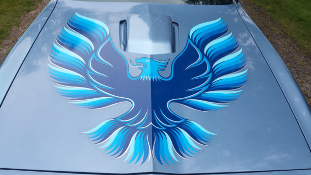 1981 Pontiac Trans Am - photo 8