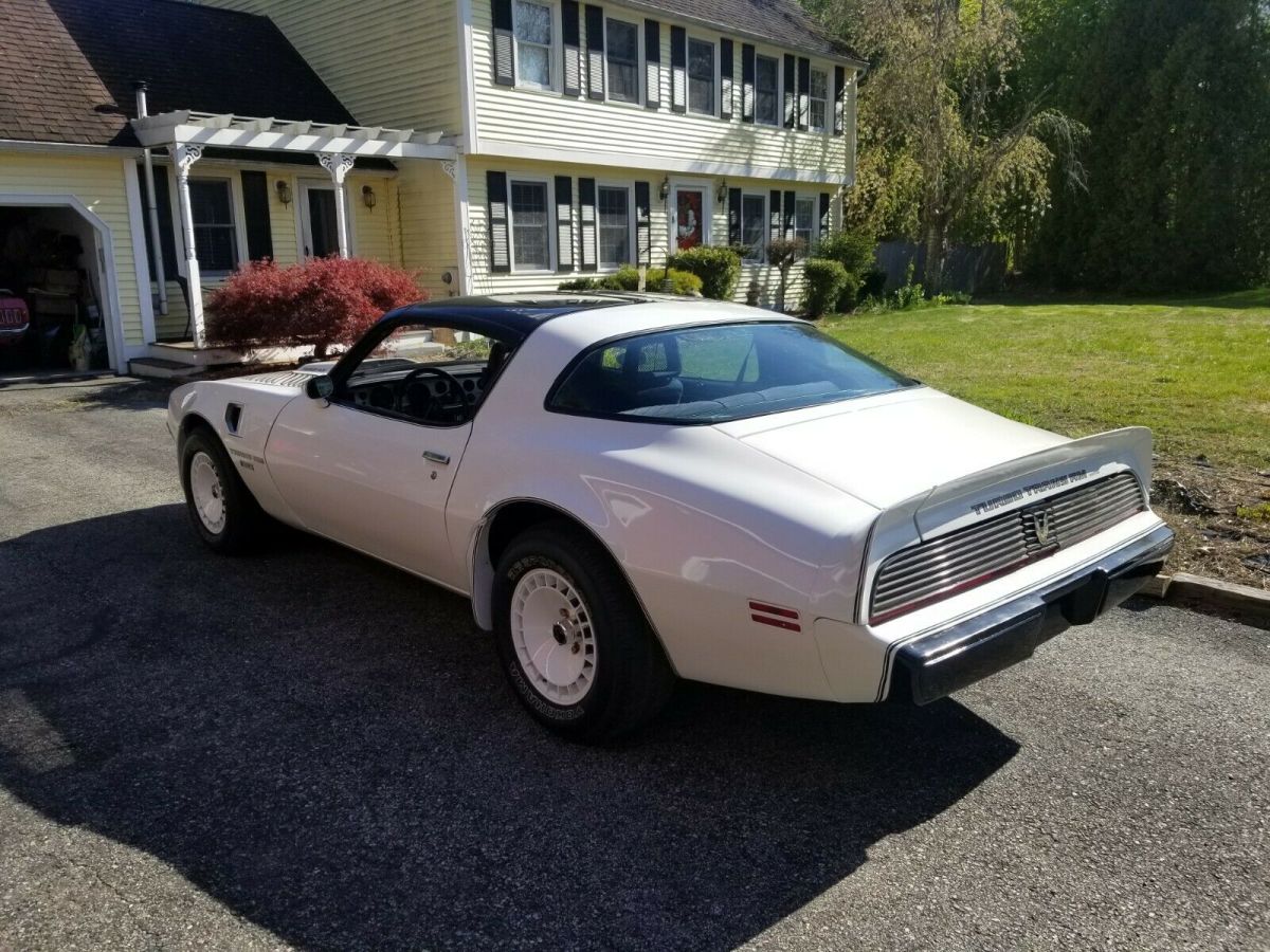 1981 Pontiac Trans Am - photo 12