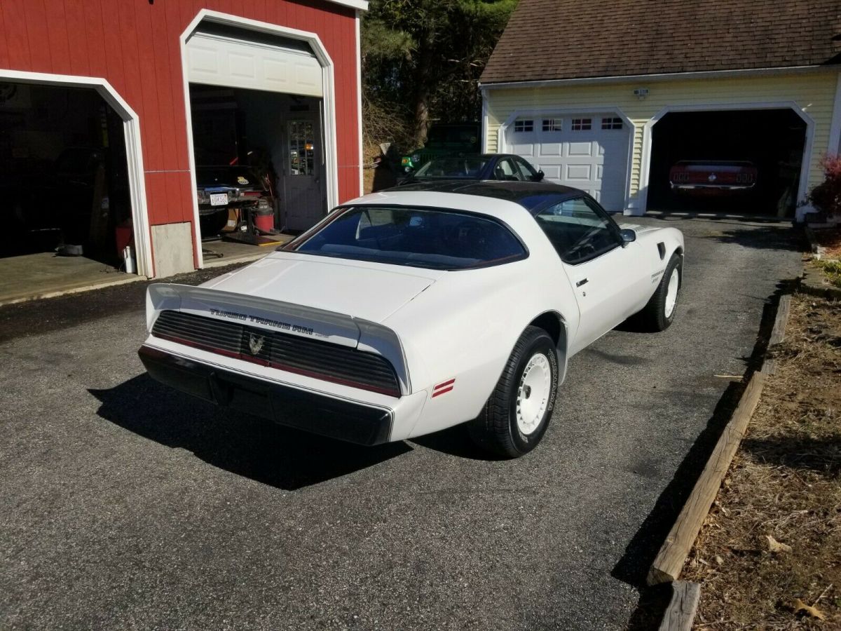 1981 Pontiac Trans Am - photo 13