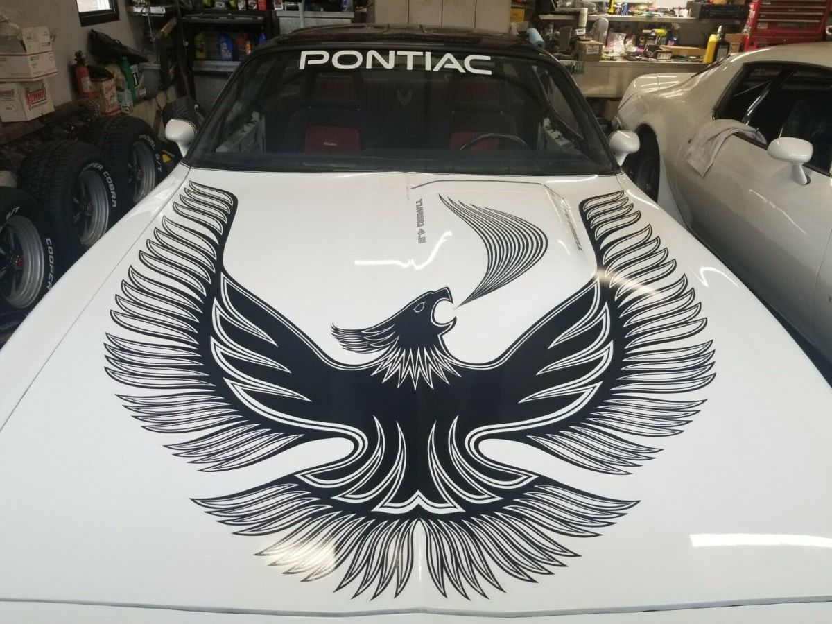 1981 Pontiac Trans Am - photo 3