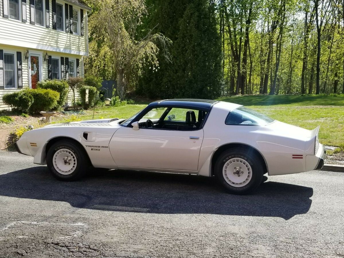 1981 Pontiac Trans Am - photo 4