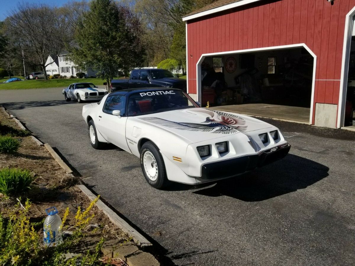 1981 Pontiac Trans Am - photo 9