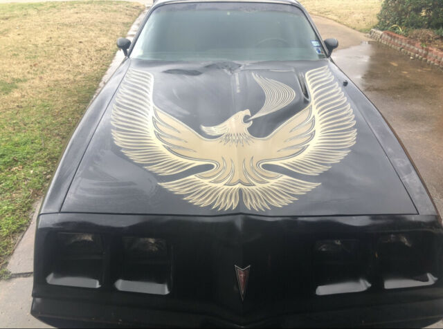 1981 Pontiac Trans Am - photo 2