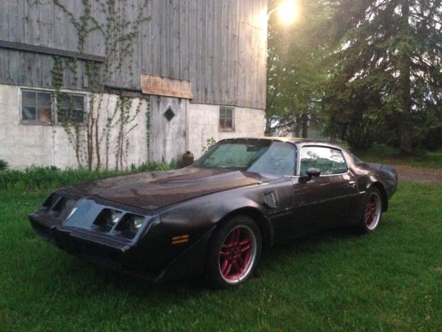 1981 Pontiac Trans Am - photo 10