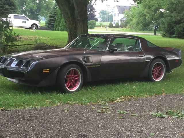 1981 Pontiac Trans Am - photo 2