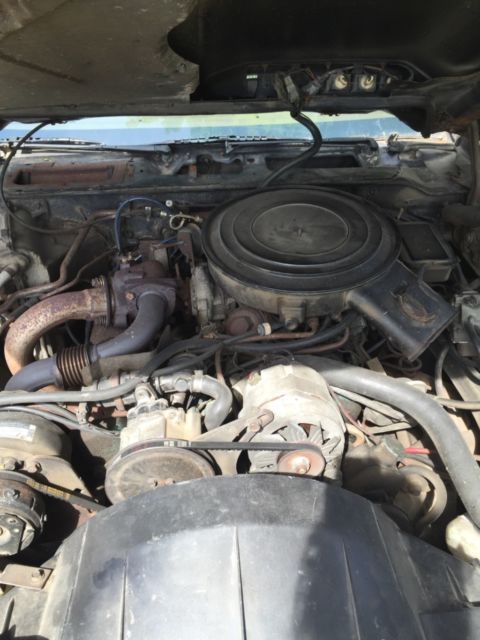 1981 Pontiac Trans Am - photo 6