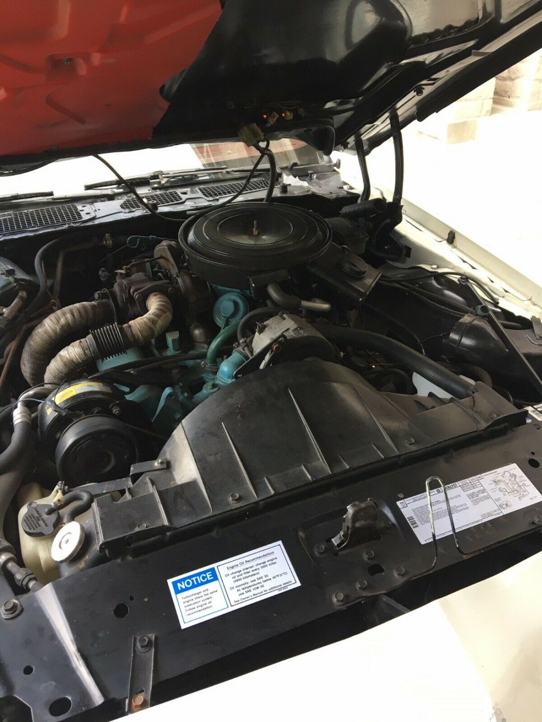 1981 Pontiac Trans Am turbo - photo 7