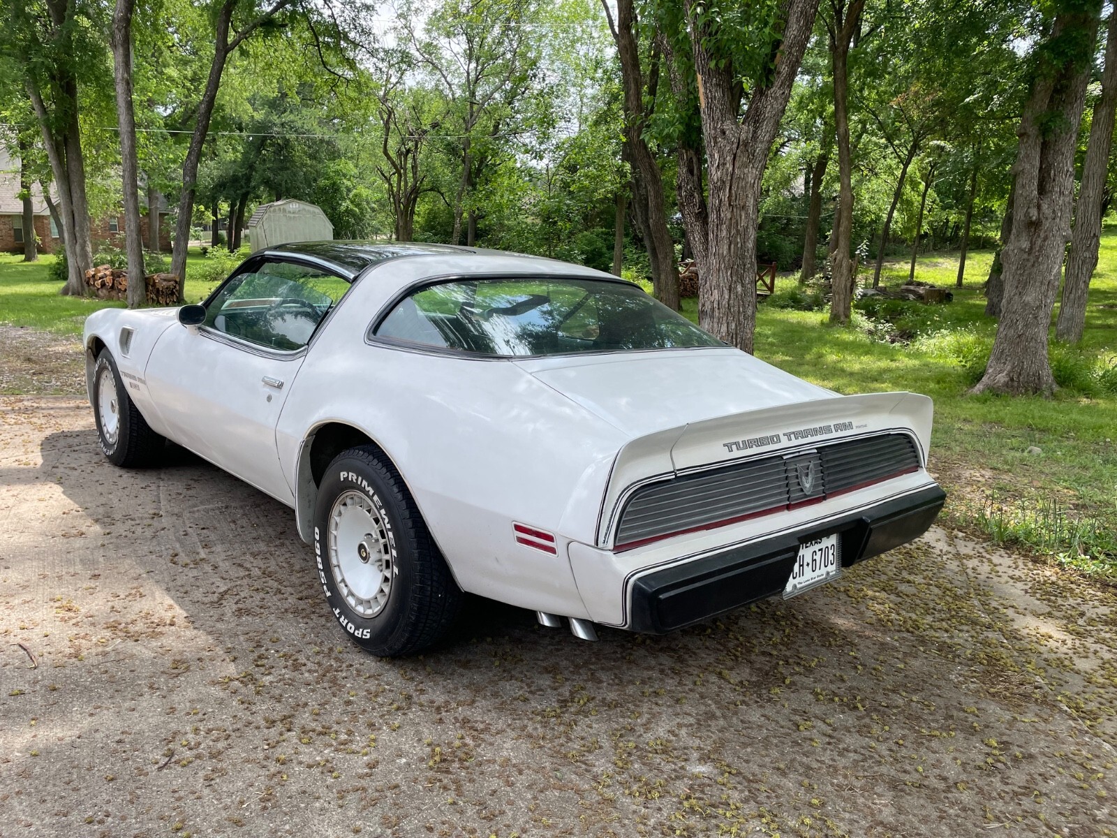 1981 Pontiac Trans Am Daytona Pace Car - photo 10