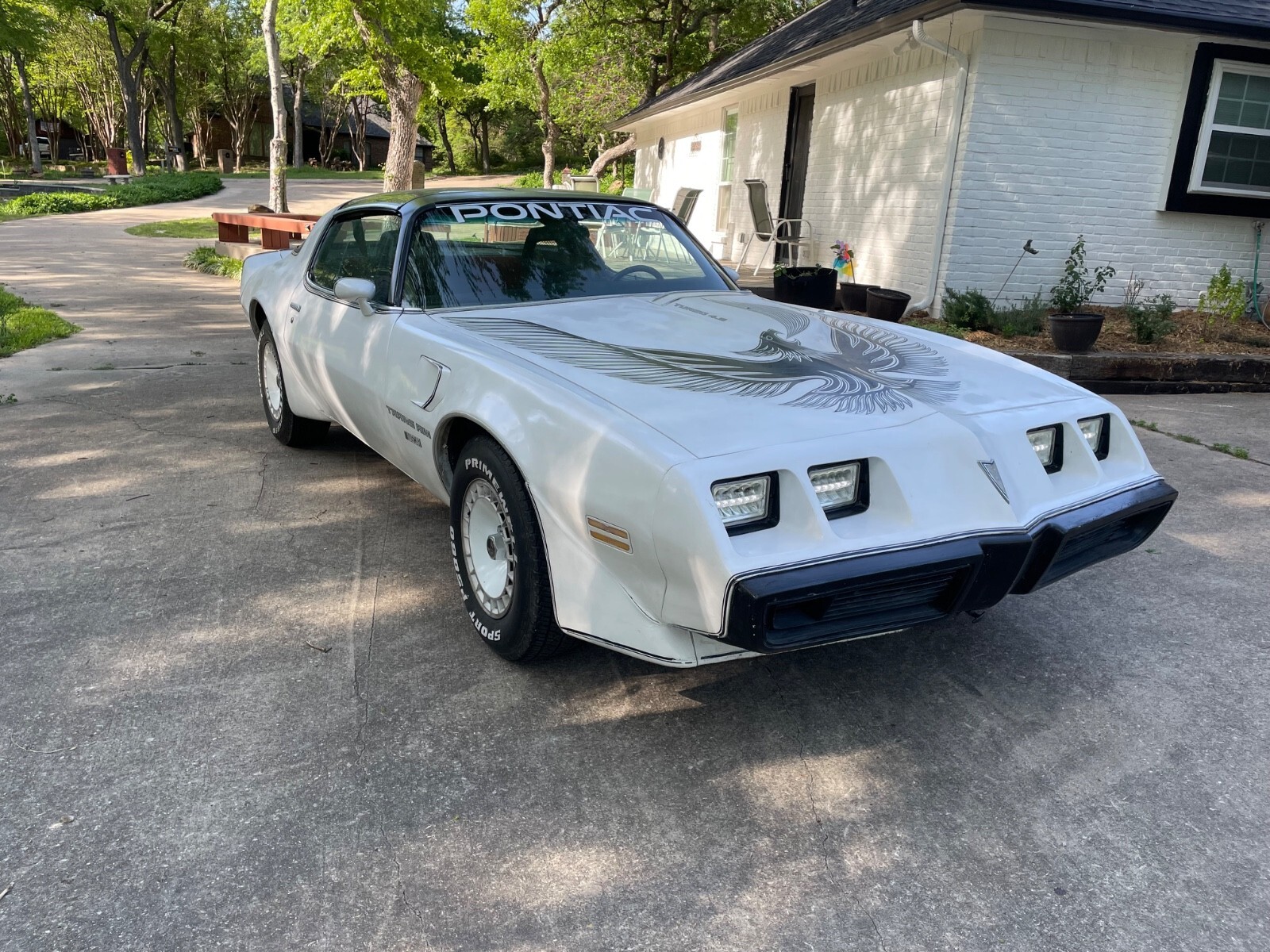 1981 Pontiac Trans Am Daytona Pace Car - photo 2