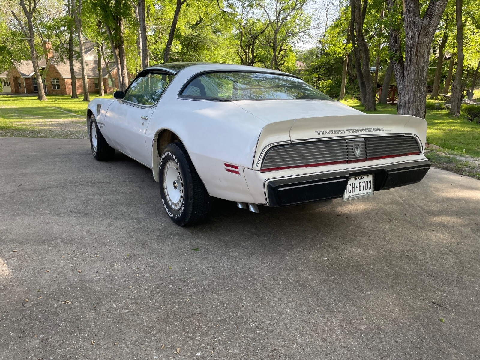 1981 Pontiac Trans Am Daytona Pace Car - photo 3