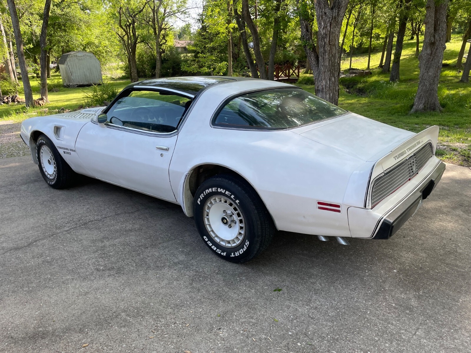 1981 Pontiac Trans Am Daytona Pace Car - photo 4