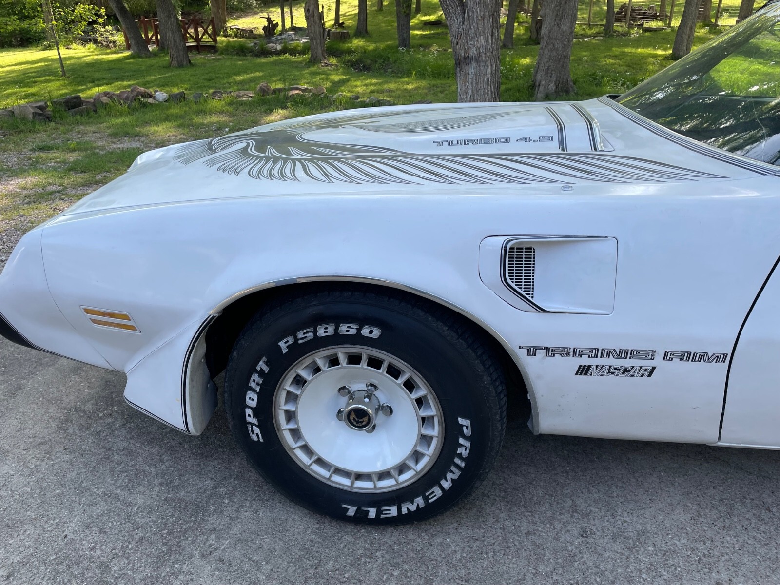 1981 Pontiac Trans Am Daytona Pace Car - photo 5