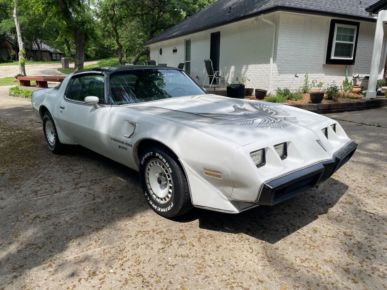1981 Pontiac Trans Am Daytona Pace Car - photo 6