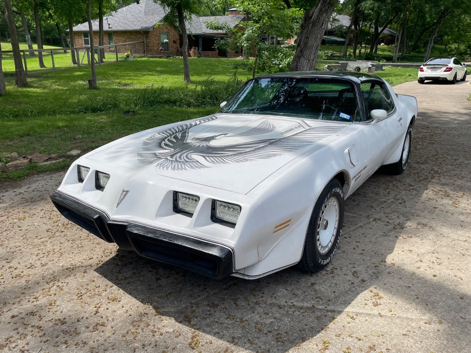 1981 Pontiac Trans Am Daytona Pace Car - photo 7