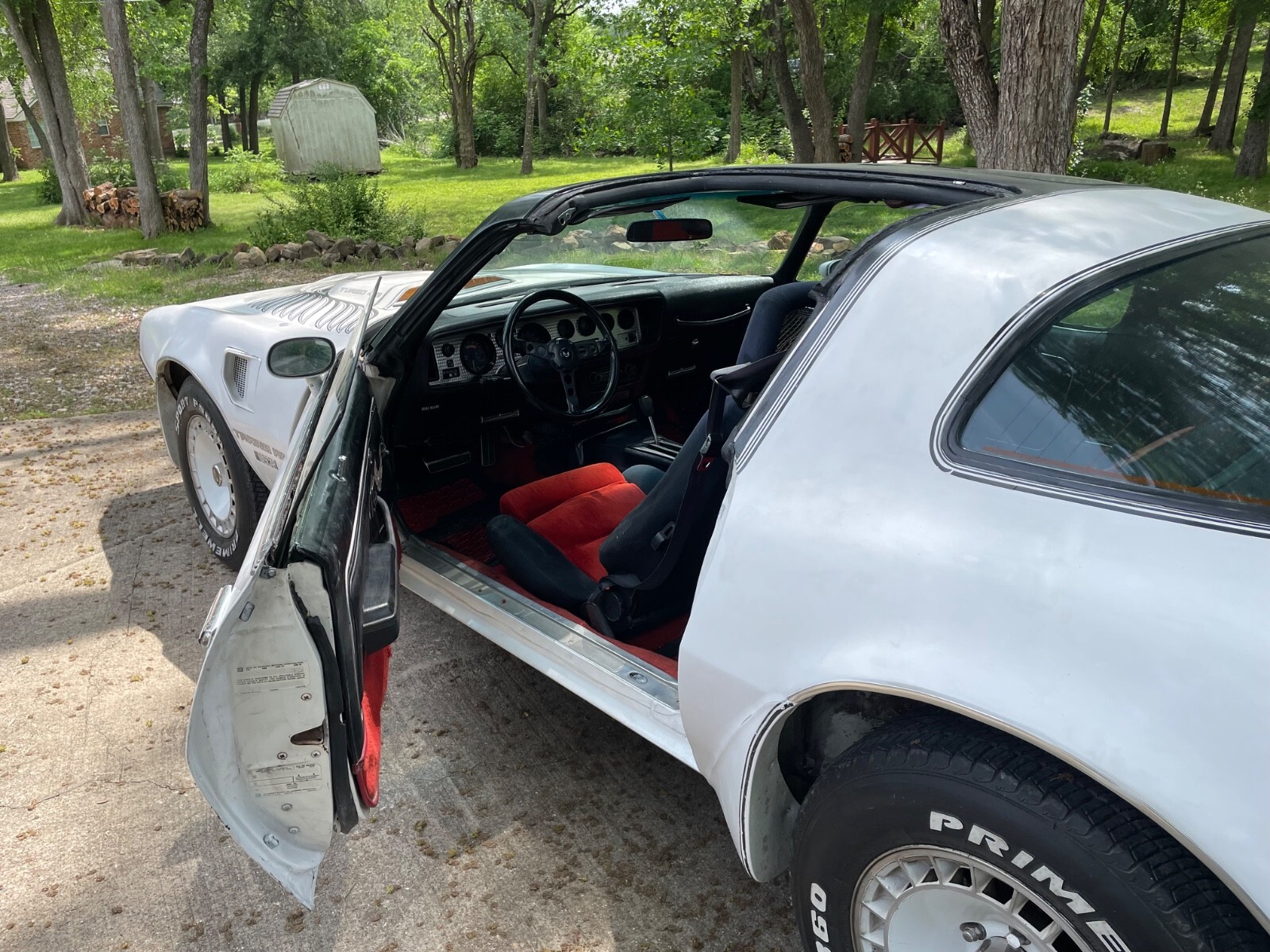 1981 Pontiac Trans Am Daytona Pace Car - photo 8