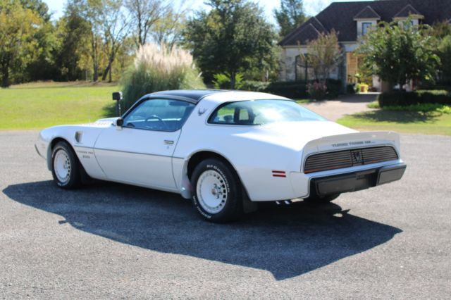 1981 Pontiac Trans Am - photo 6