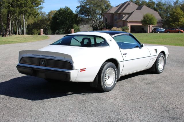 1981 Pontiac Trans Am - photo 8