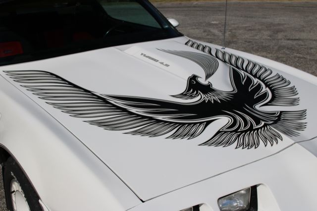 1981 Pontiac Trans Am - photo 9