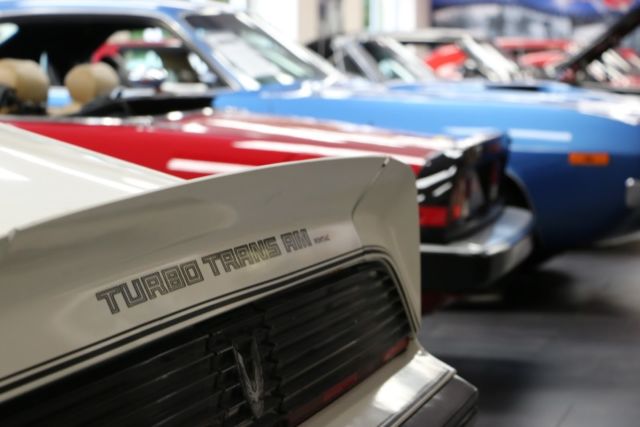 1981 Pontiac Trans Am RARE TUBRO DAYTONA PACE CAR NASCAR - photo 3
