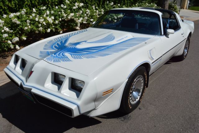 1981 Pontiac Trans Am Turbo Time Capsule 1981 Pontiac Trans Am