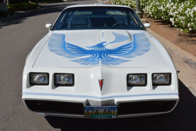 1981 Pontiac Trans Am - photo 10