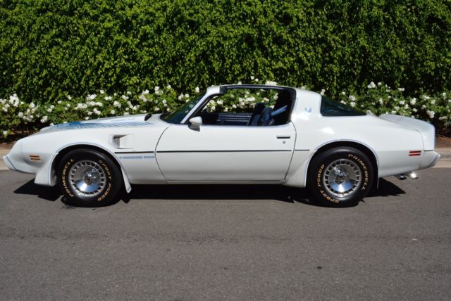 1981 Pontiac Trans Am - photo 12
