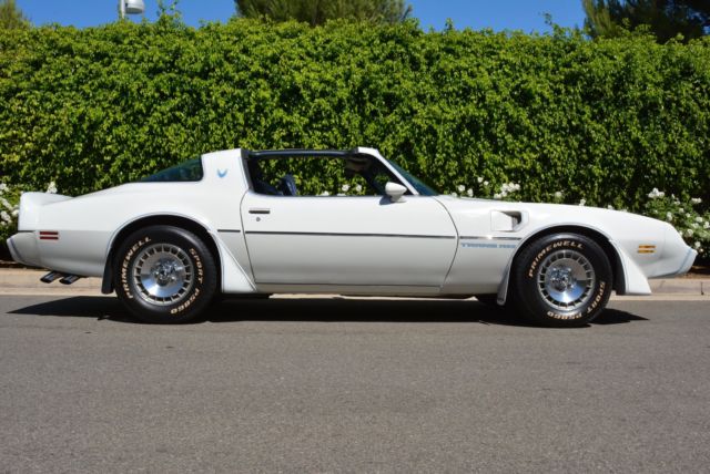 1981 Pontiac Trans Am - photo 4