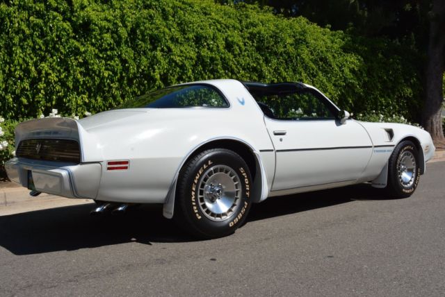 1981 Pontiac Trans Am - photo 5