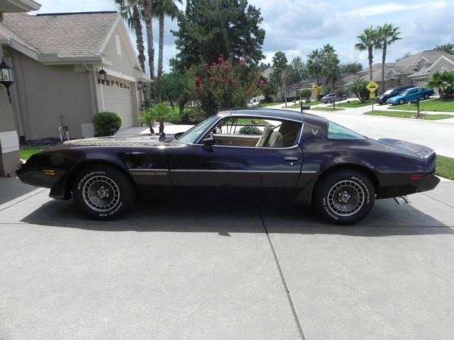 1981 Pontiac Trans Am Turbo - WS6 / T-Top - 43k mi. - 100% Orig. & Immac. Cond. 1981 Pontiac Firebird Trans-Am