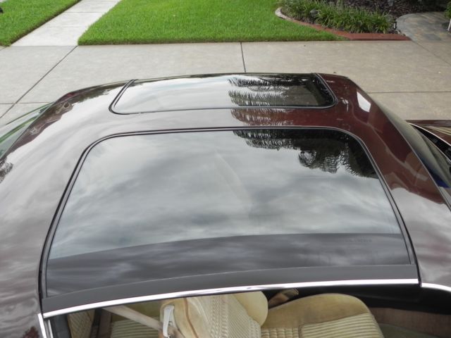 1981 Pontiac Firebird Trans-Am - photo 11