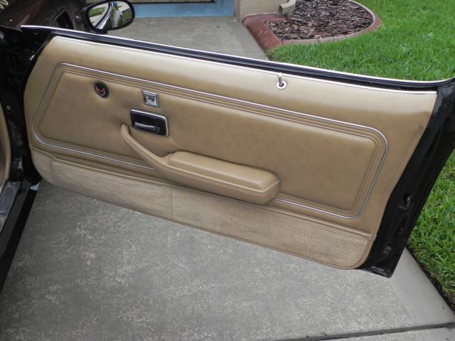 1981 Pontiac Firebird Trans-Am - photo 13