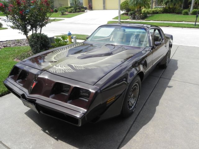 1981 Pontiac Firebird Trans-Am - photo 3