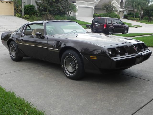 1981 Pontiac Firebird Trans-Am - photo 5