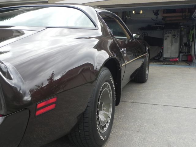 1981 Pontiac Firebird Trans-Am - photo 7