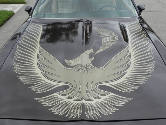 1981 Pontiac Firebird Trans-Am - photo 9