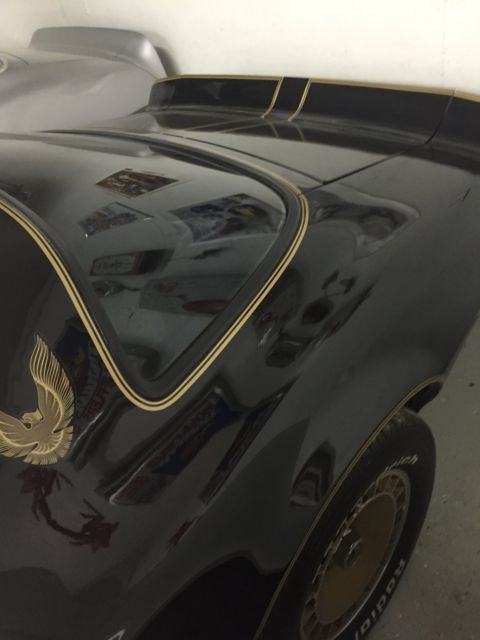 1981 Pontiac Trans Am - photo 10